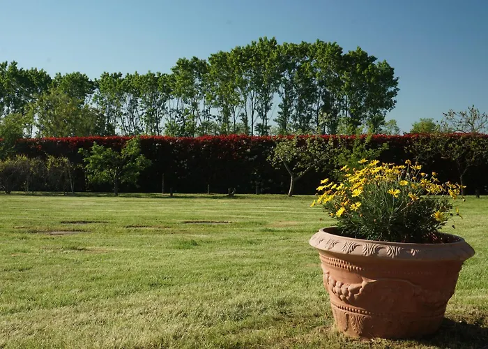 Cascina Del Gelso - B&B *